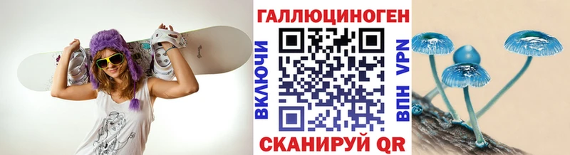 МЕГА как войти  наркошоп  Людиново  Галлюциногенные грибы мицелий 